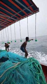 Two Fishermen Jump into the Sea to Pull in a Giant Net Trap Containing Millions of Fish | Giant N...