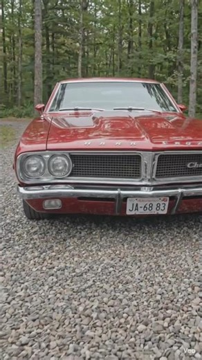 1966 Ford Fairlane 500 GT 🚗💨🔥#FordFairlane #ClassicCar #MuscleCar #VintageRide #CarLovers
