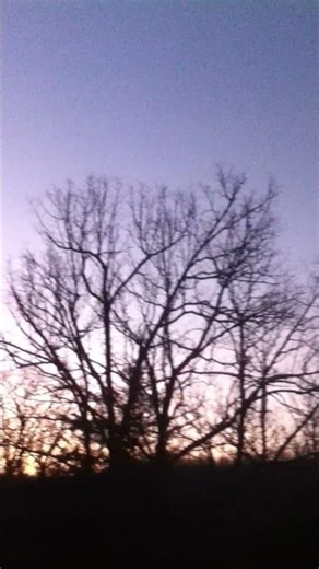 Convenient, Profitable, and Fun Mission Statement—2nd Edition