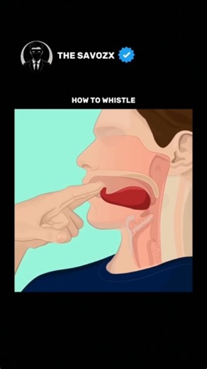 The Savozx on Instagram: "How to whistle — a simple skill that anyone can learn with a little practice. This clip shows the basics clearly so you can understand the mouth position and airflow easily. Watch closely and try it yourself. If you have any problem with the clips, feel free to DM me. #thesavozx #education #lifehacks"