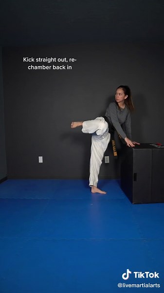 Side Kick Tutorial for Taekwondo and Karate Beginners