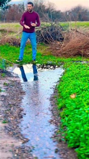 This Permaculture Swale Waters My Fruit Trees Automatically 🌧️🌱
