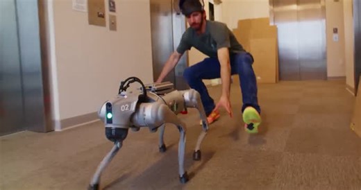 Skild AI built a robot brain that refuses to quit.Jammed motors? Broken limbs? If the robot can move, their Brain will control it-even if it's never seen that body before.The… | Debasish Mishra.