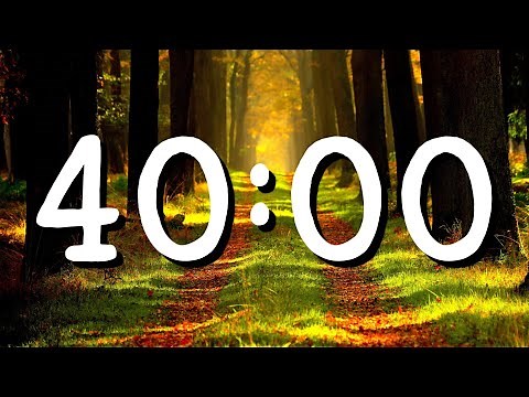 40 Minute Countdown Timer