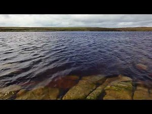 Relaxing Water Nature Sounds - Ambient Lapping Water, Wind & Birds Chirping - 5 Min.Meditation Sound