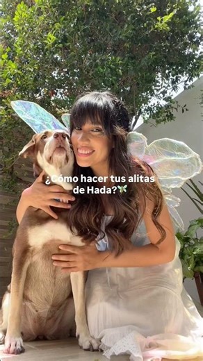 Tutorial Alas de Hada para Halloween 🧚🏽✨💖 @vidaencolores.ec