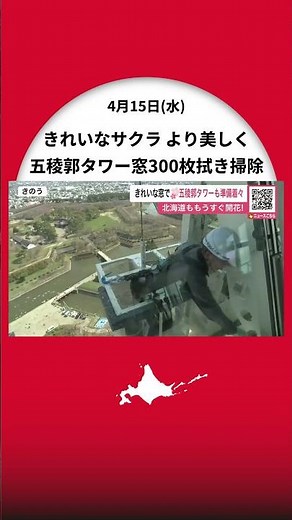 Ready to enjoy the cherry blossoms! 300 windows at the Goryokaku Tower observation deck are being...
