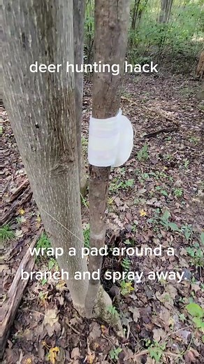 Deer hunting hack #foryourpage #foryoupage #fyp #fypシ #fy #hunt #hunting #deerhunting #deer #deerseason #rut #hacksoflife #hacks #woods #padsandtampons #itworks #hunter #wildlife #deerhuntinghacks #huntingtiktok #huntinghack