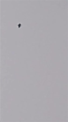 kitty kitty and subscribe channel YouTube viral hello Microsoft YouTube channel