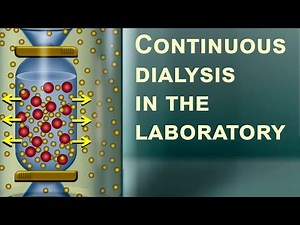 Continuous dialysis in the laboratory (IQOG-CSIC)