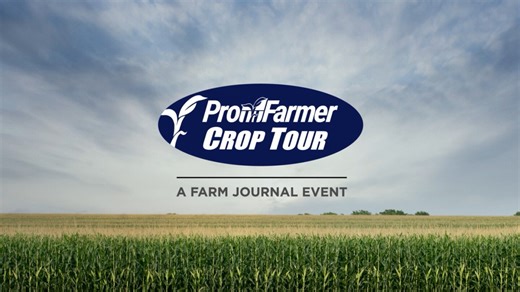 Watch Day 1 Recap: Pro Farmer Crop Tour Results from Ohio and South Dakota