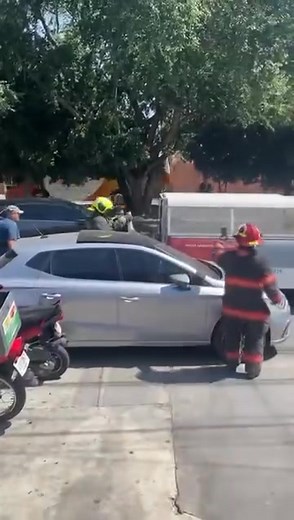 Fatima Alvarez on Reels