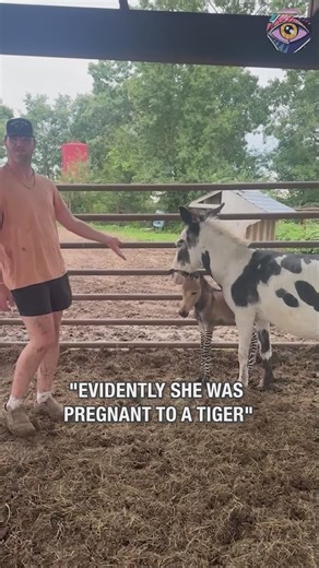 25K views · 258 reactions | Haters will say it's AI | Now I've Seen Everything | Facebook