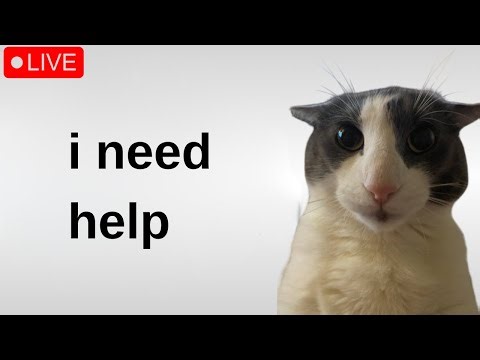 🔴Zoink doing anything // i havent slept