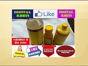 Azotobacter Culture, एजोटोबेक्टर कल्चर