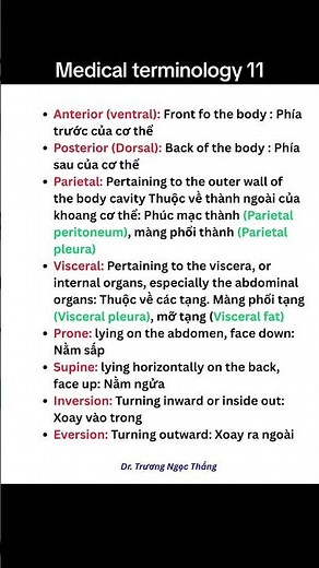 Medical terminology 11 #medicalenglish #medicalterminology #medicalterms #medicalvocabulary