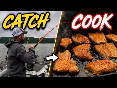Nobody Cooks Catfish This Way… And It’s Delicious!