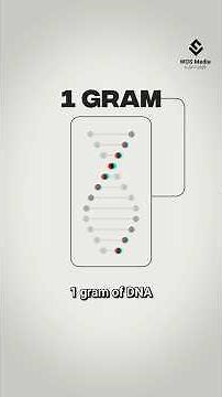 Your DNA Can Store All the World’s Data