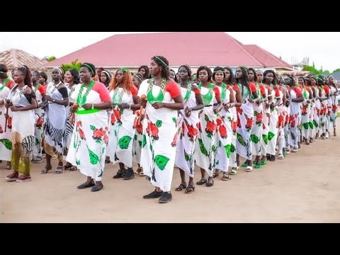 New nyowl Göbl song (Daniel Meyik Nyiker)