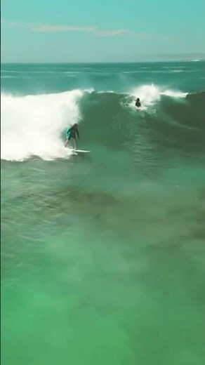 Slater Designs Boss Up vs dolphins 🐬 #surfboardreview