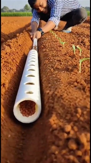 Machine nahi? Yeh try karo 🤯 PVC pipe se seed spacing #shorts #shortvideo #farming #jugad