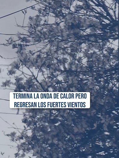 Termina la onda de calor pero regresan los fuertes vientos a Durango.