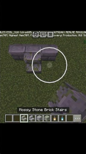 Grave🪦 in Minecraft