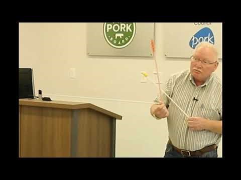 Webinar #8--Swine Reproduction and Artificial Insemination