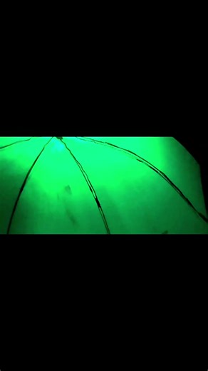 Make_magic_happen (@trippa__snippa)’s videos with Originalton - DJ EastSide