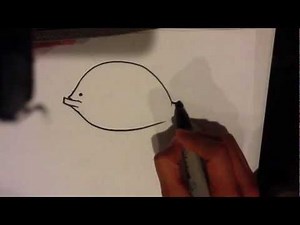 How to Draw a Flounder - Easy Pictures to Draw