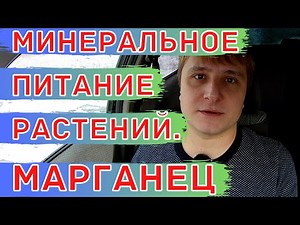 Недостаток марганца у растений. Удобрение сульфат марганца (марганцевый купорос).