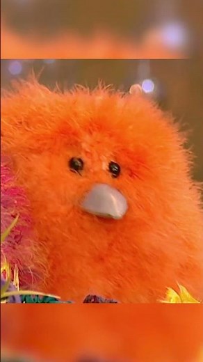 The things you'd see #thefimbles #bessiebird #parentsong #growingupsong #parenthood #songforkids