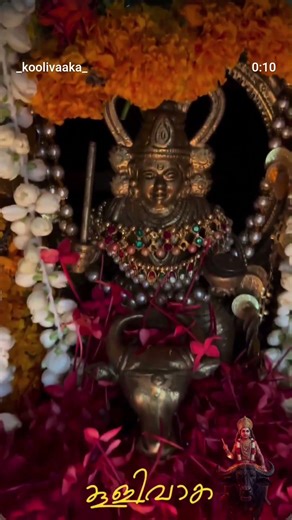 “Stand fearless in life, because Vishnumaya Swami walks ahead of you.”