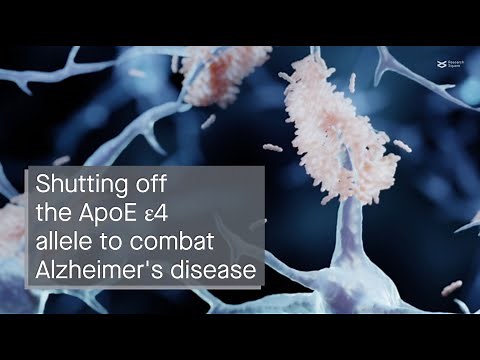 Suppressing ApoE 4 allele protects against signs of Alzheimer s disease