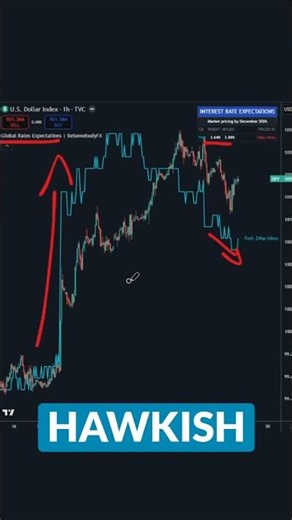 This Free TradingView Tool Shows What the FED Is Pricing In