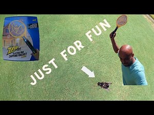 Kill flies and have fun doing it with a handheld bug zapper racket