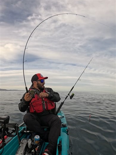 Temporada de Corvinas: Pesca en Kayak en Chile
