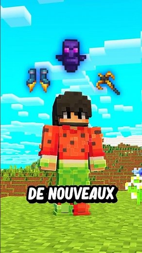 1 an pour créer le meilleur serveur Minecraft !