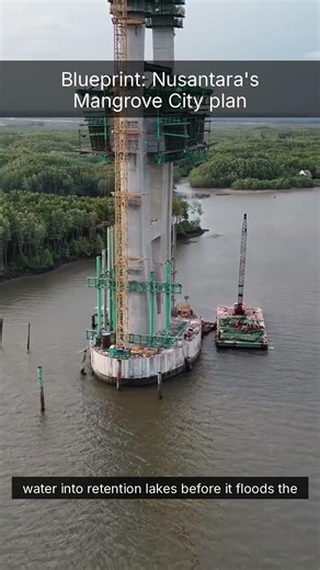 Blueprint: Nusantara's Mangrove City plan