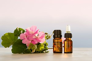 9 huiles essentielles pour soigner les plantes