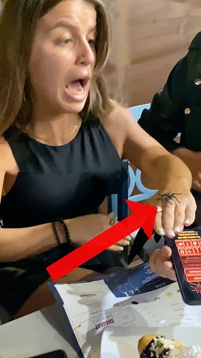 Wait for the spider Prank 🕷️😂 #spider #prank #tricks | Julien Magic