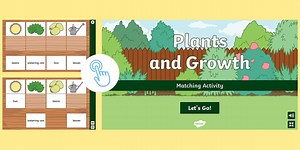 Plants and Growth Interactive Matching Activity