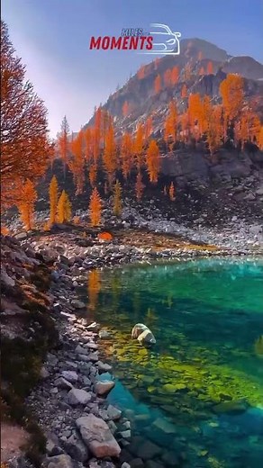 Calgary’s Fall Events Are Next Level 🥳