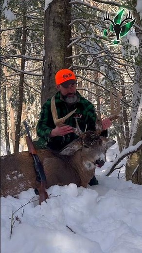 Barnes Harvest Collection .308s did the trick!