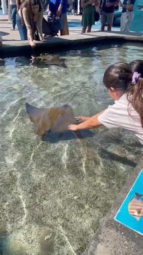 Nature Is Beautiful - Aquarium of The Pacific