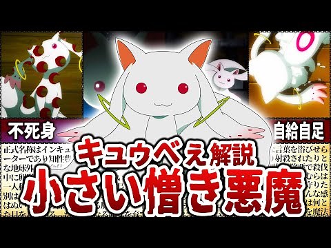 【まどマギ】可愛い見た目に騙されるな！「キュウベぇ」の知られざる本性【マギアレコード】【ゆっくり解説】