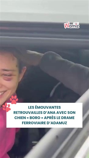 🐶❤️ Après des jours d’angoisse suite au tragique accident ferroviaire d’Adamuz (Cordoue), Boro, le chien porté disparu, a enfin pu retrouver son humaine. Grâce à la mobilisation de bénévoles, d’équipes spécialisées et d’associations de protection animale, ce héros à quatre pattes a pu être mis en sécurité. Les retrouvailles entre Ana et Boro nous touchent en plein cœur, malgré le fait de voir le petit chien encore un peu effrayé, et nous rappellent que l’amour et la persévérance peuvent accompl
