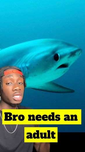 Bro looks like a good influence 🦈 | Casual Geographic