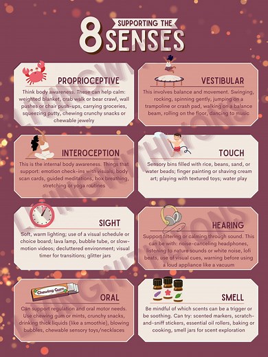 8 Senses Poster: Sensory Support Strategies Visual (PDF & JPEG) - Etsy
