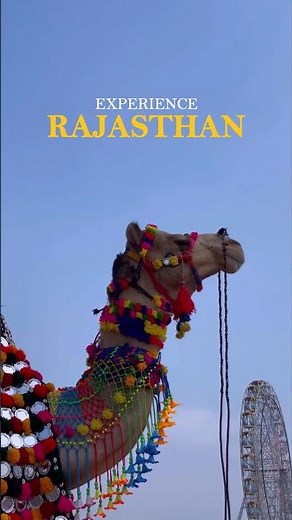 Experience Rajasthan ✨🦚